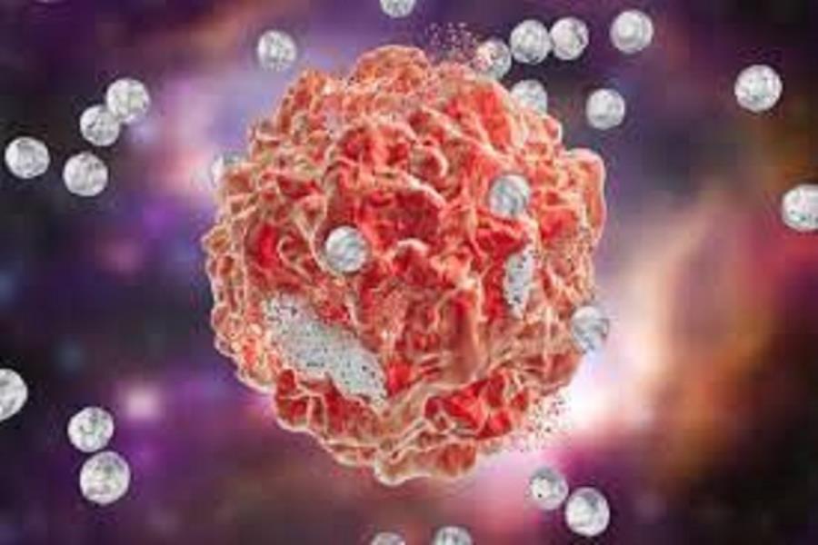 از بین بردن تومورهای سرطانی با نانوذرات شبیه به باکتری
